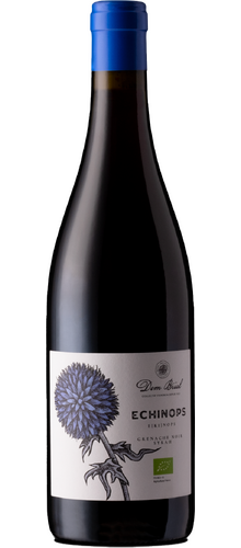 Echinops Côtes catalanes 2023