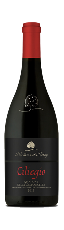 - Amarone della Valpolicella Ciliegio - 2016