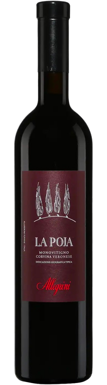 La Poja 2017
