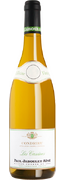 Vin