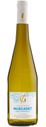 Vin